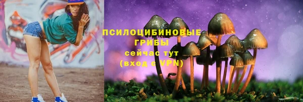 кокс Абинск