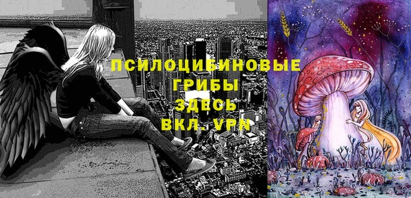 дмт Абдулино