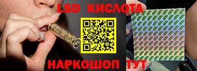 крисы Пенза