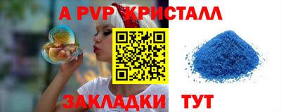 крисы Пенза