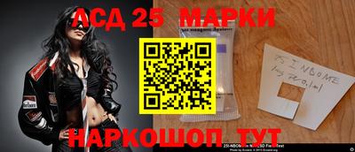 крисы Пенза