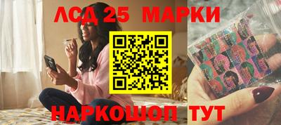 крисы Пенза