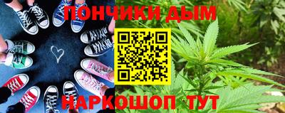 крисы Пенза