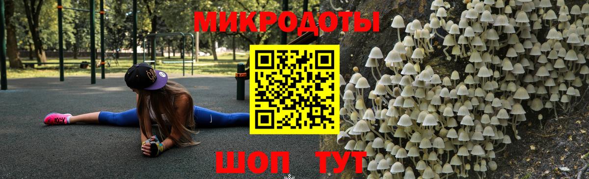 Галлюциногенные грибы Psilocybe Алапаевск